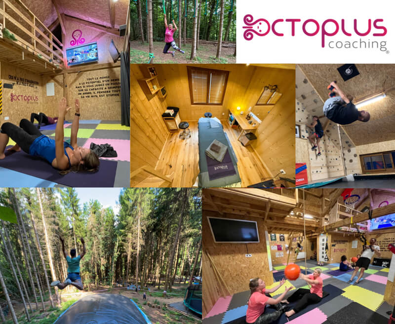 Octoplus Coaching : une vision holistique du coaching sportif