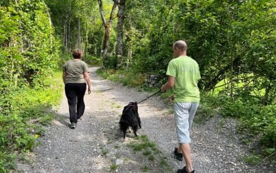 À la Découverte des Sentiers : Bienfaits et Préparations Essentielles pour la Randonnée