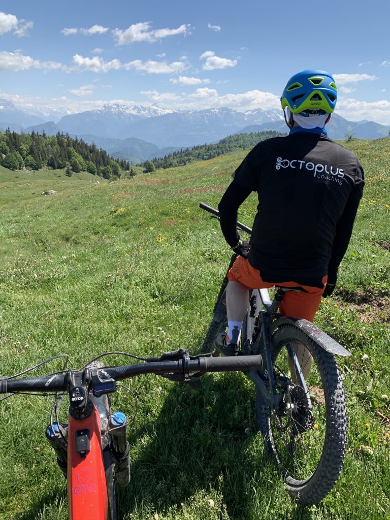 Cycliste en montagne verdoyante avec vue sur les Alpes.