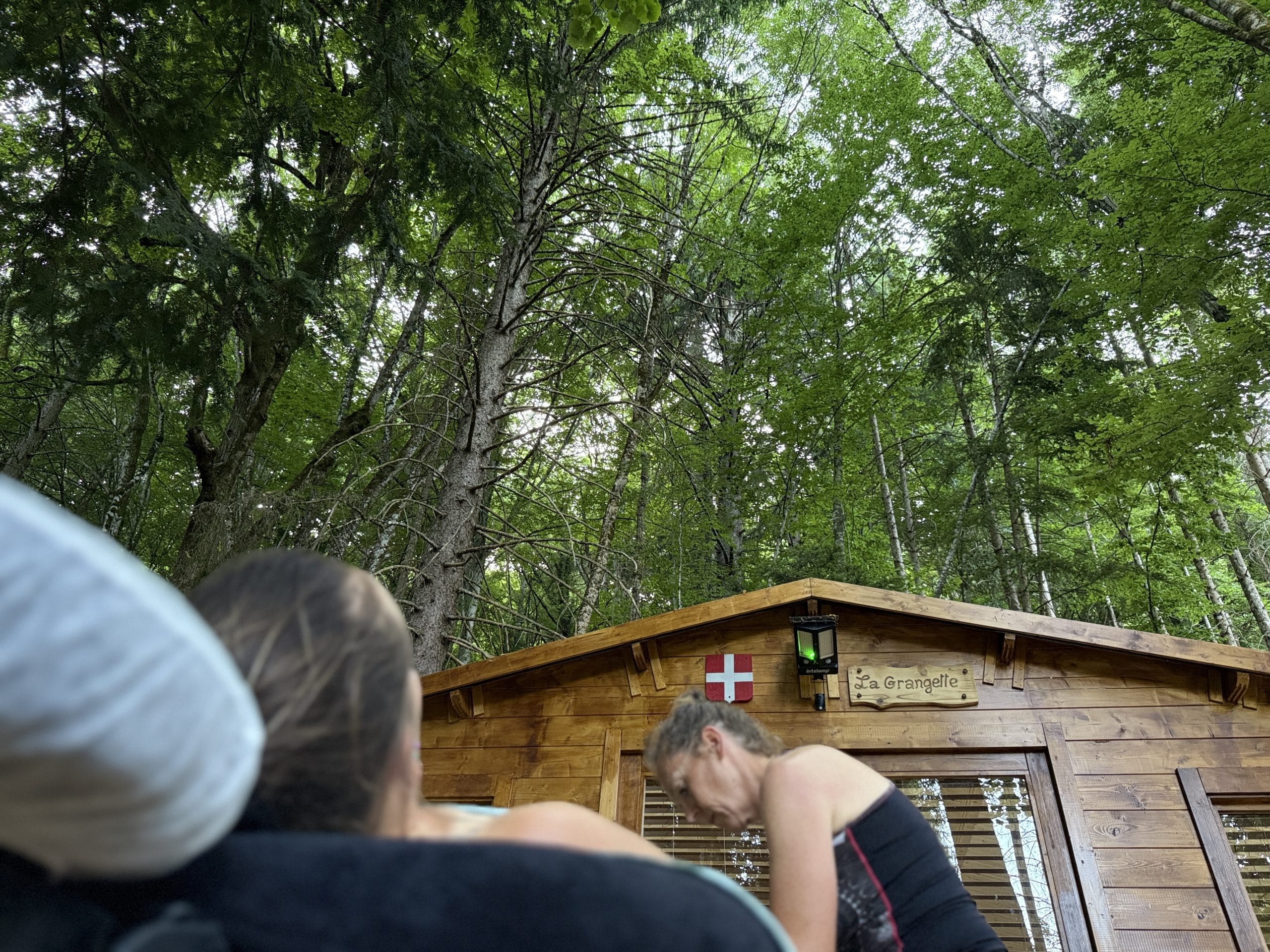 Cabane en bois dans la forêt verdoyante.